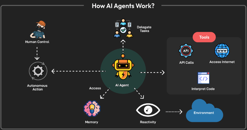 Sürekli Öğrenme ve Gelecek Hedeflerim